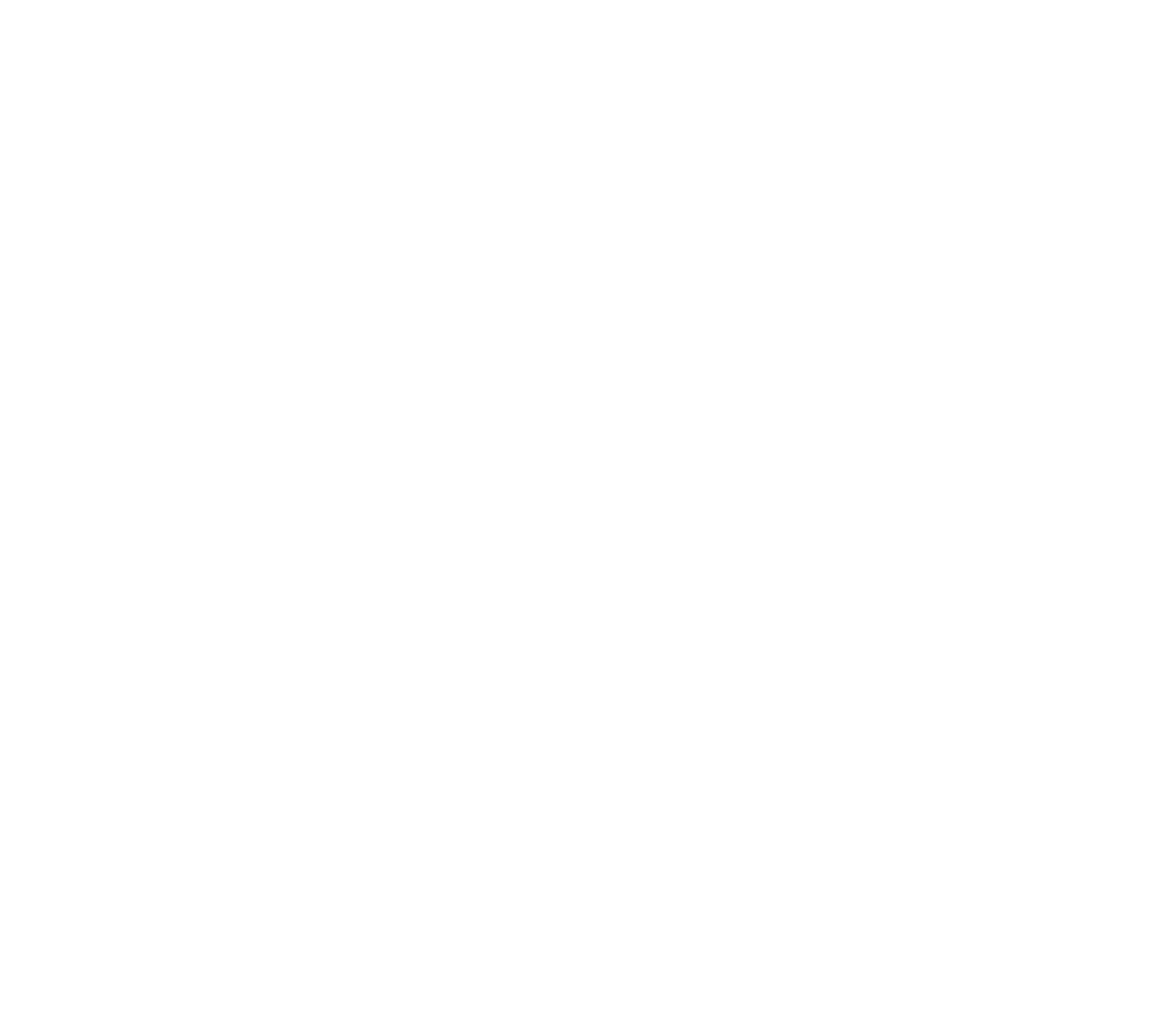 FS Projekt